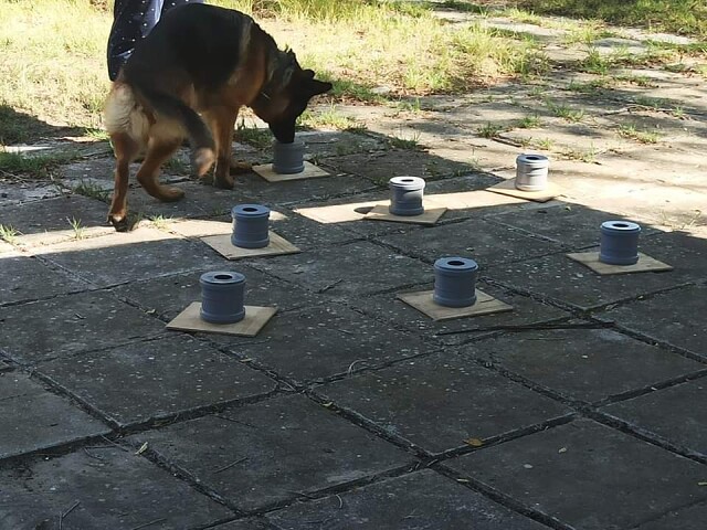 11.09.trening nouswork 5.jpg